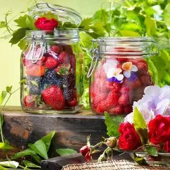 Bormioli Rocco 0.75L Swing Top Fido Canning Jar -Dinnerware Shop 149280mrg121990 5