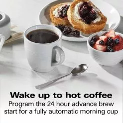 Hamilton Beach Home Hamilton Beach 12-Cup Professional Programmable Coffee Maker | Silver -Dinnerware Shop 71tkc vttl. ac sl1500