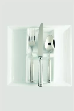 Fortessa Bistro 20-Piece Flatware Set -Dinnerware Shop bistro2 on white