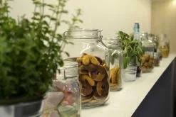 Bormioli Rocco 3L Swing Top Fido Glass Jar -Dinnerware Shop fido storage jars 1 1