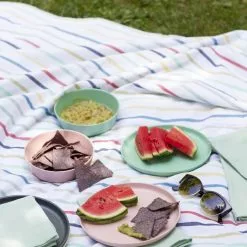 Danica Brands Now Designs By Danica Planta 10" Dinner Plates (Set Of 4) | Tranquil -Dinnerware Shop l052002 picnic ecologie social 1