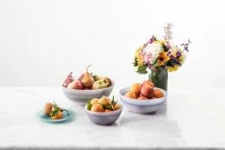 D&V By Fortessa La Jolla Dinner Plate | Sage -Dinnerware Shop lifestyle la jolla 2