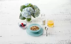 D&V By Fortessa La Jolla Dinner Plate | Sage -Dinnerware Shop lifestyle la jolla 5