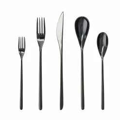 Fortessa Dragonfly 20pc Place Setting | Black